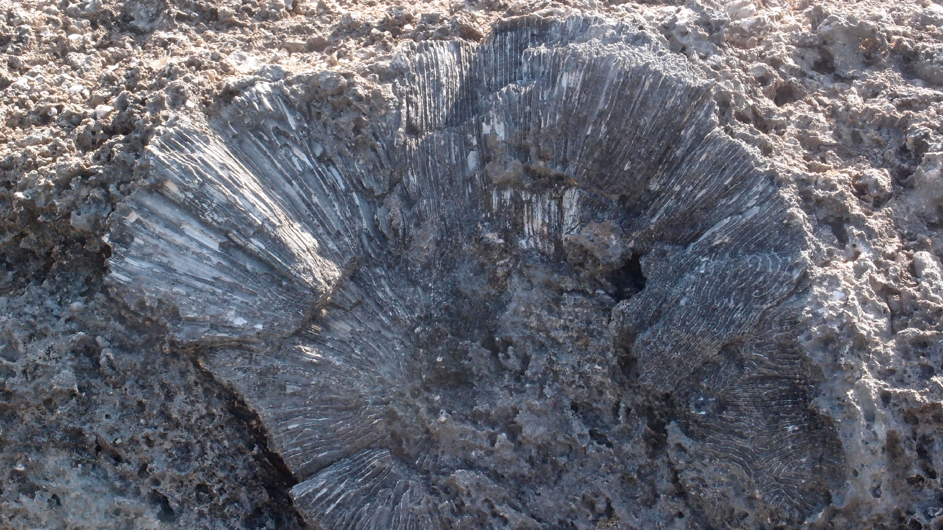 2022-04-14 Shete Boka Nationalpark (Foto)