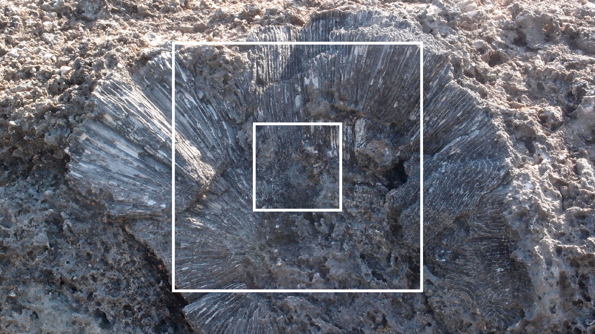 2022-04-14 Shete Boka Nationalpark (Foto)