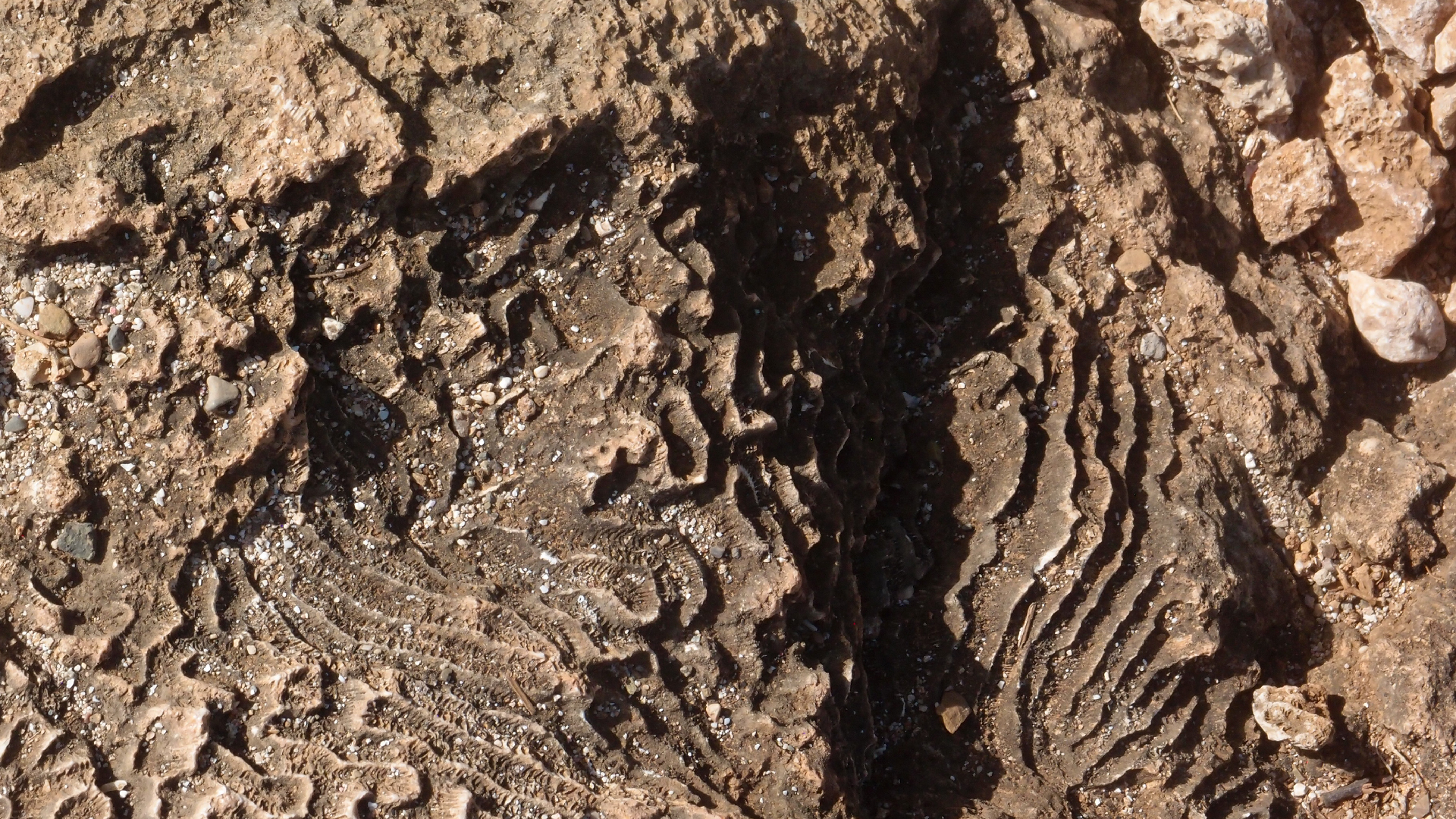 2022-04-14 Shete Boka Nationalpark (Foto)