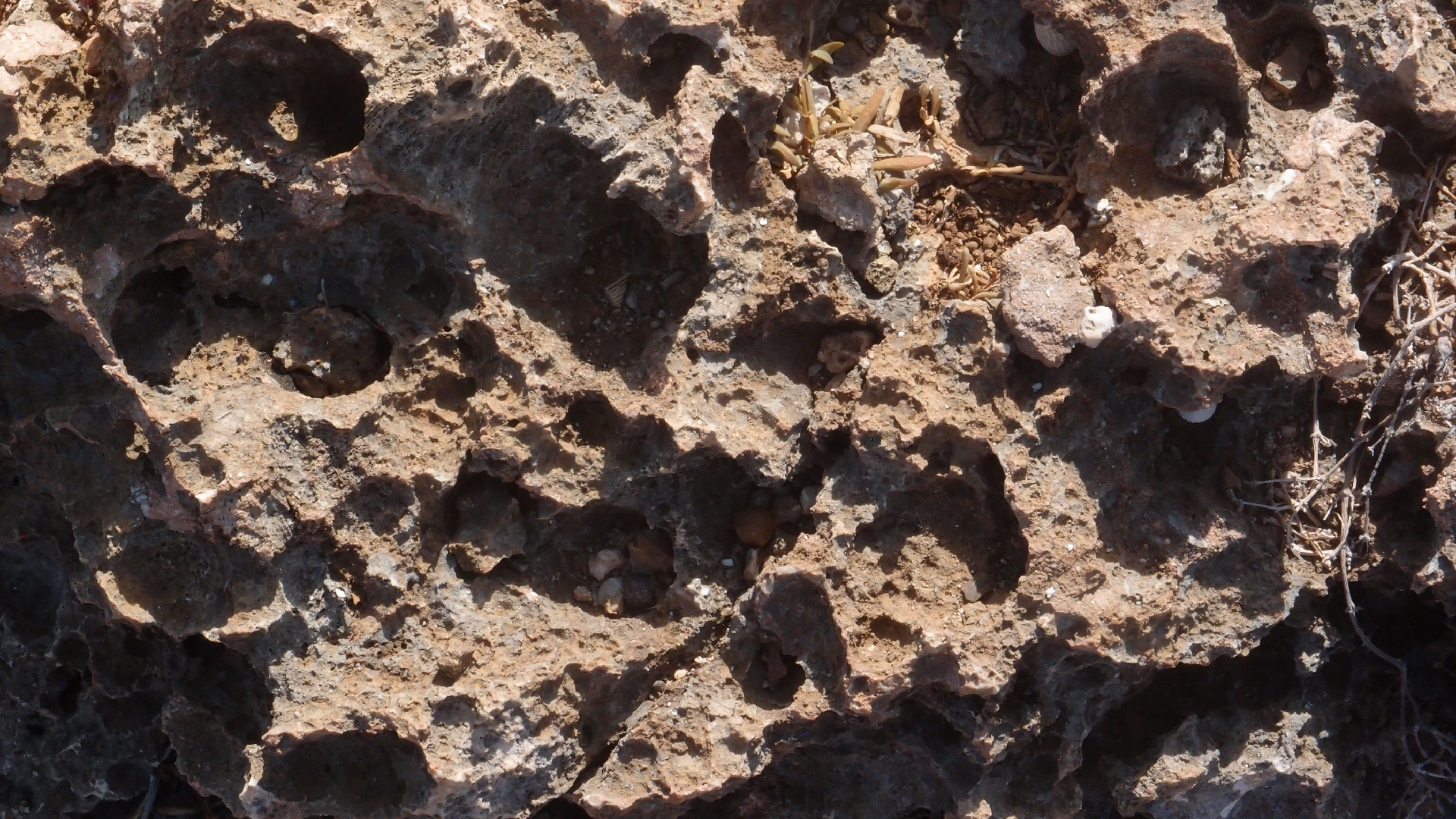 2022-04-14 Shete Boka Nationalpark (Foto)