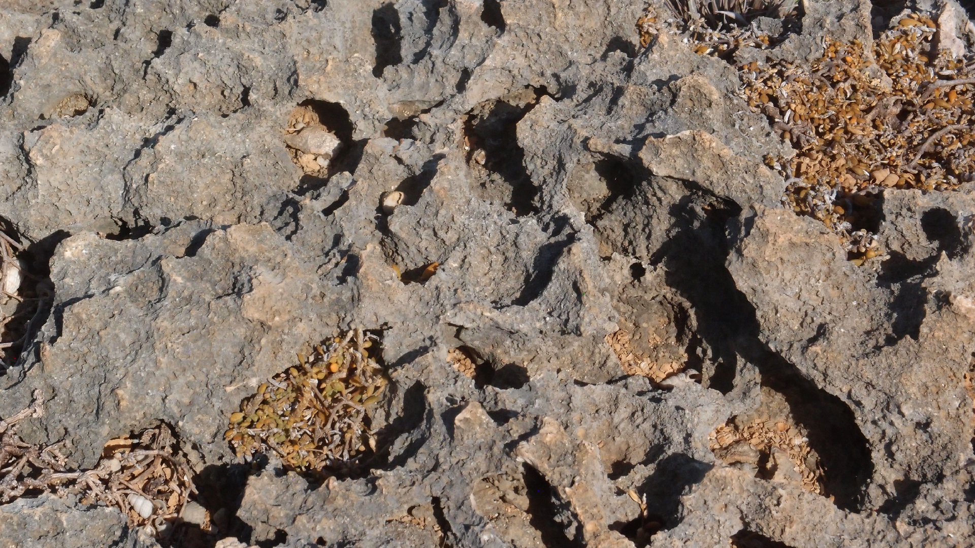 2022-04-14 Shete Boka Nationalpark (Foto)