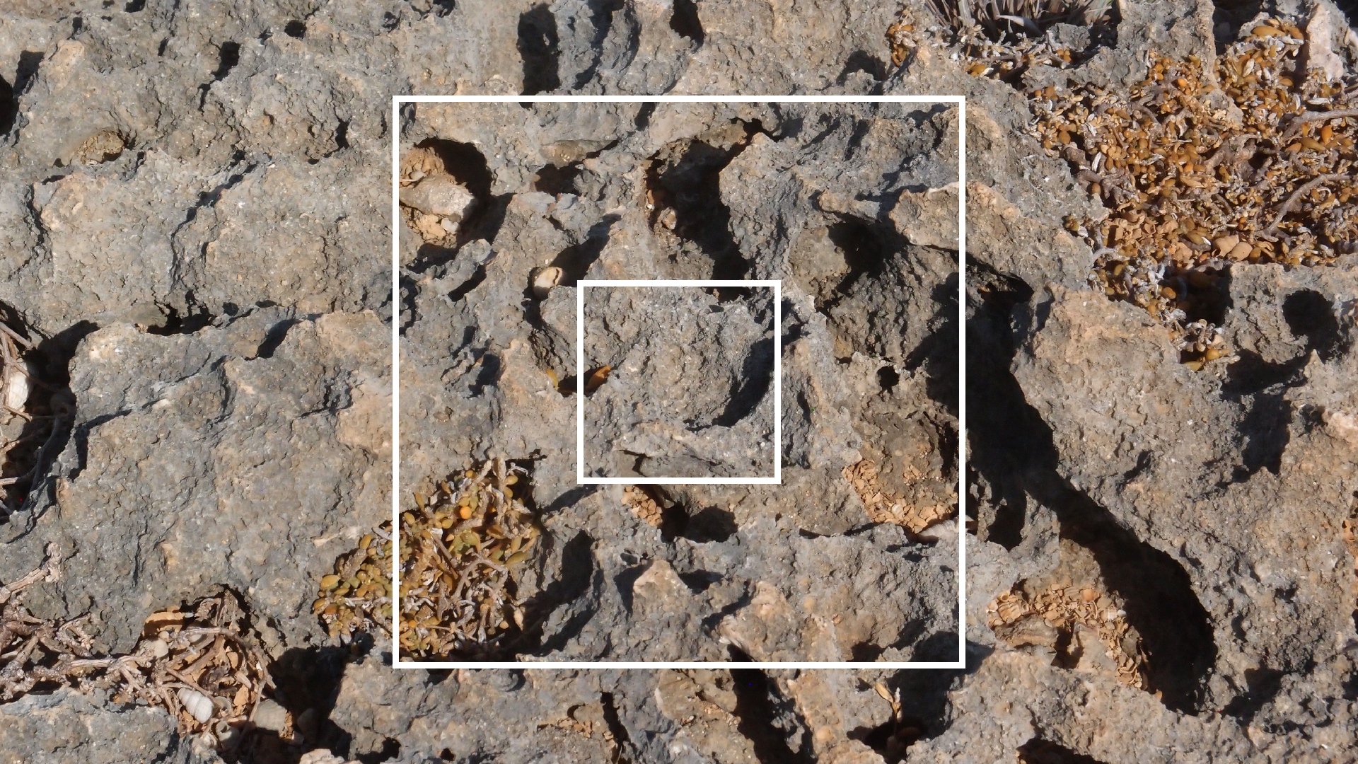 2022-04-14 Shete Boka Nationalpark (Foto)