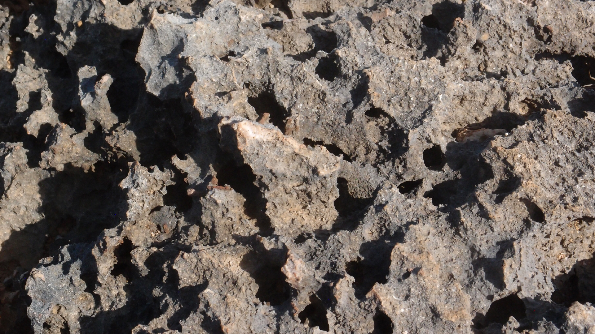 2022-04-14 Shete Boka Nationalpark (Foto)