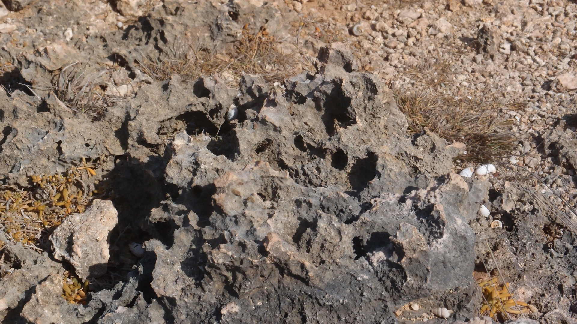 2022-04-14 Shete Boka Nationalpark (Foto)