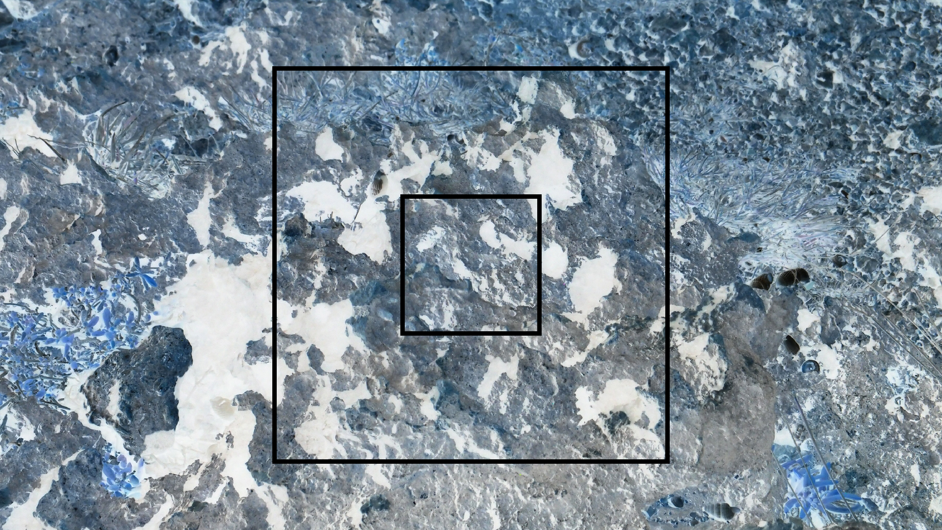 2022-04-14 Shete Boka Nationalpark (Foto)