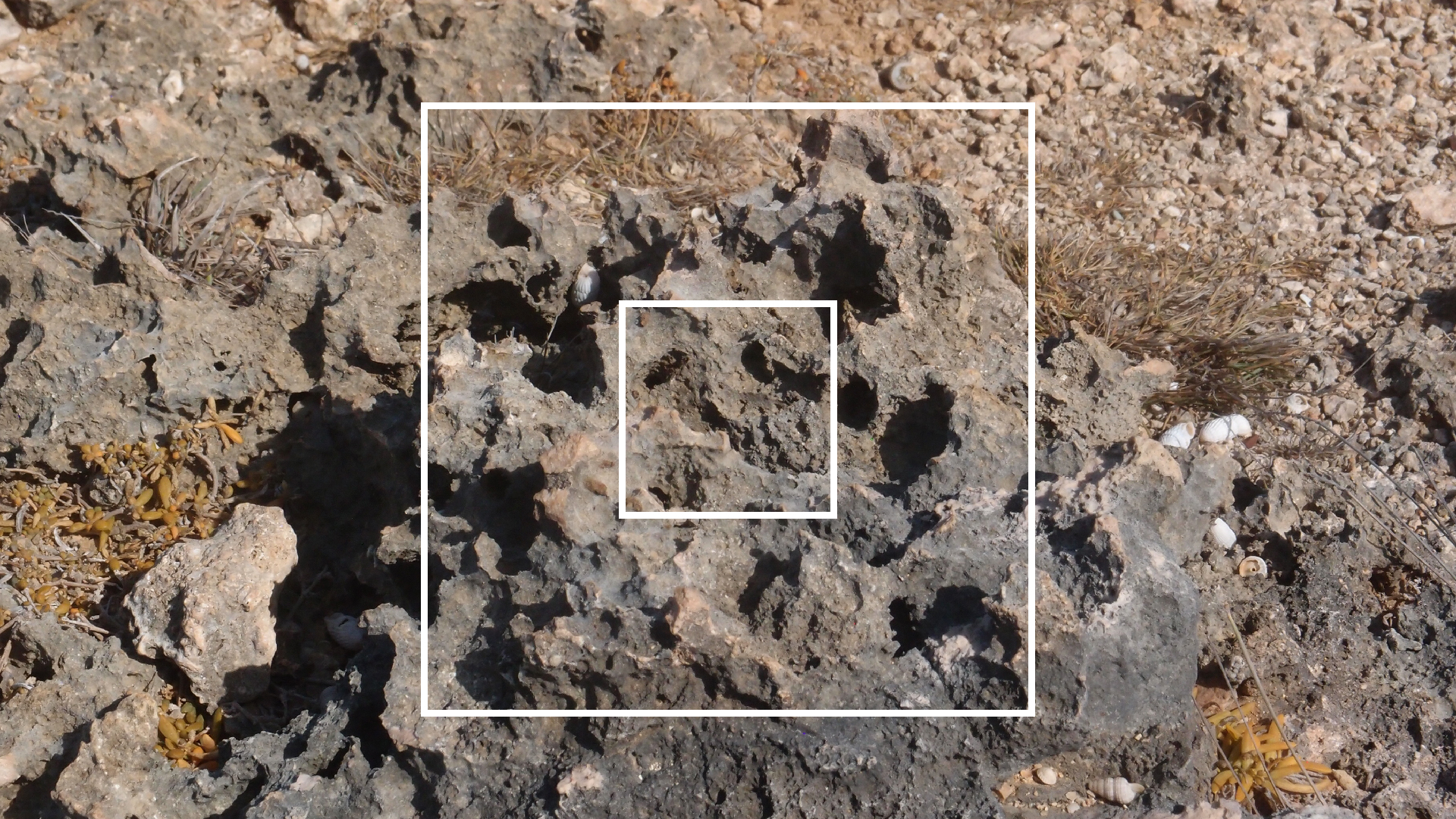 2022-04-14 Shete Boka Nationalpark (Foto)