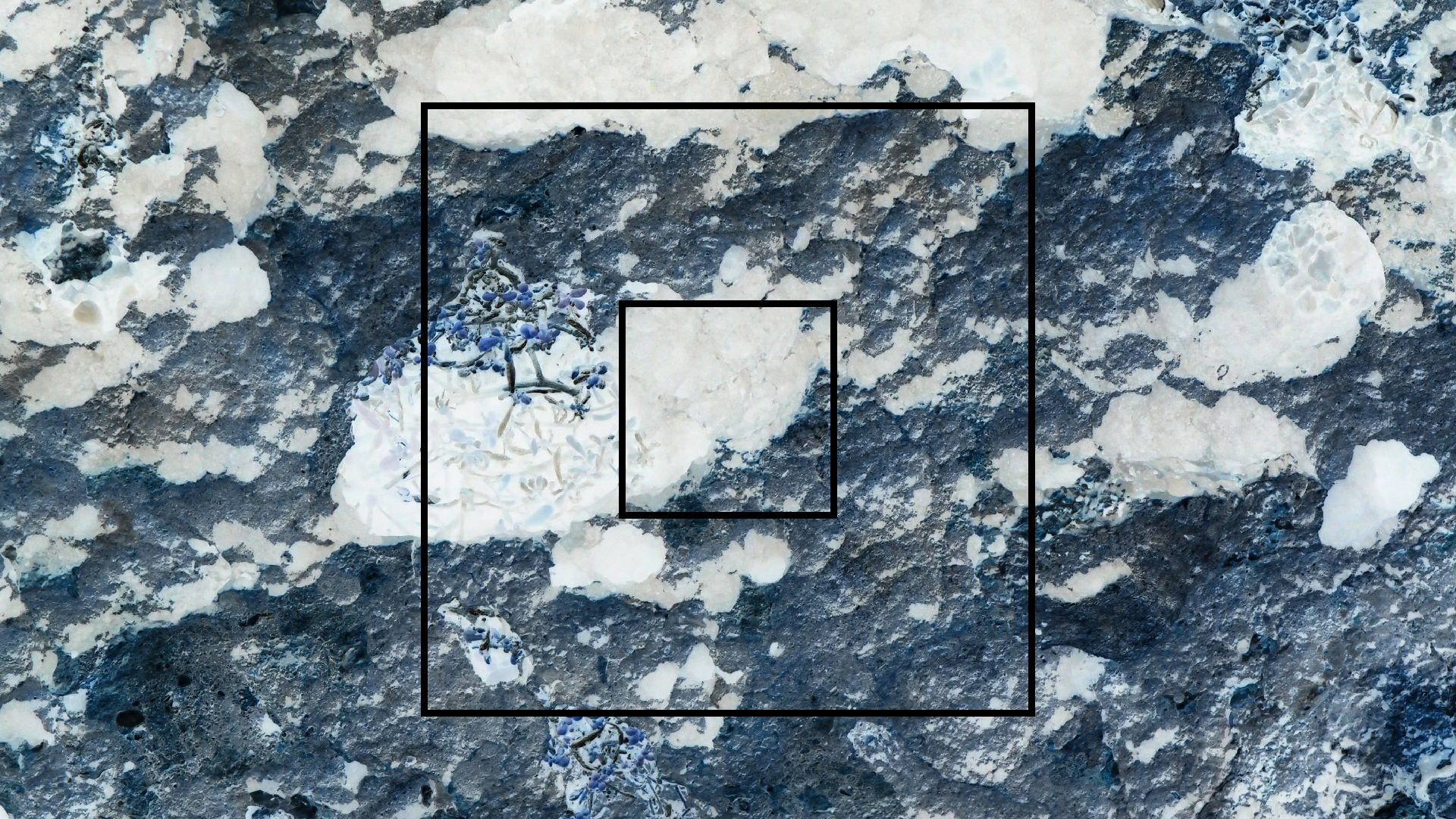 2022-04-14 Shete Boka Nationalpark (Foto)