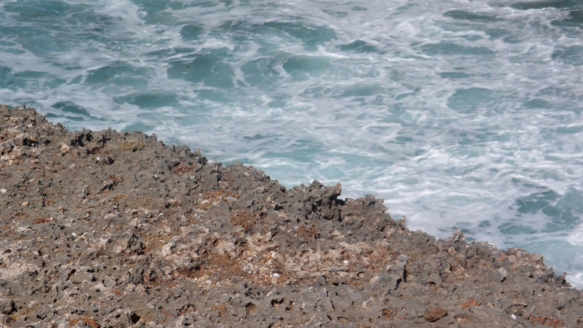 2022-04-14 Shete Boka Nationalpark (Foto)