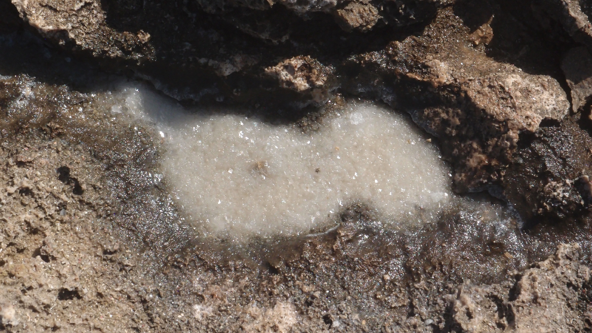 2022-04-14 Shete Boka Nationalpark (Foto)