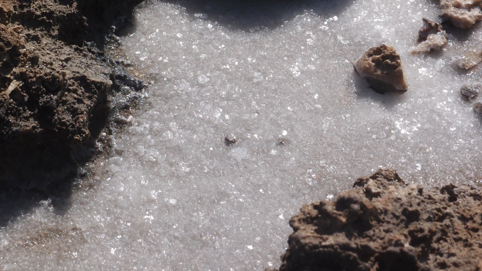 2022-04-14 Shete Boka Nationalpark (Foto)