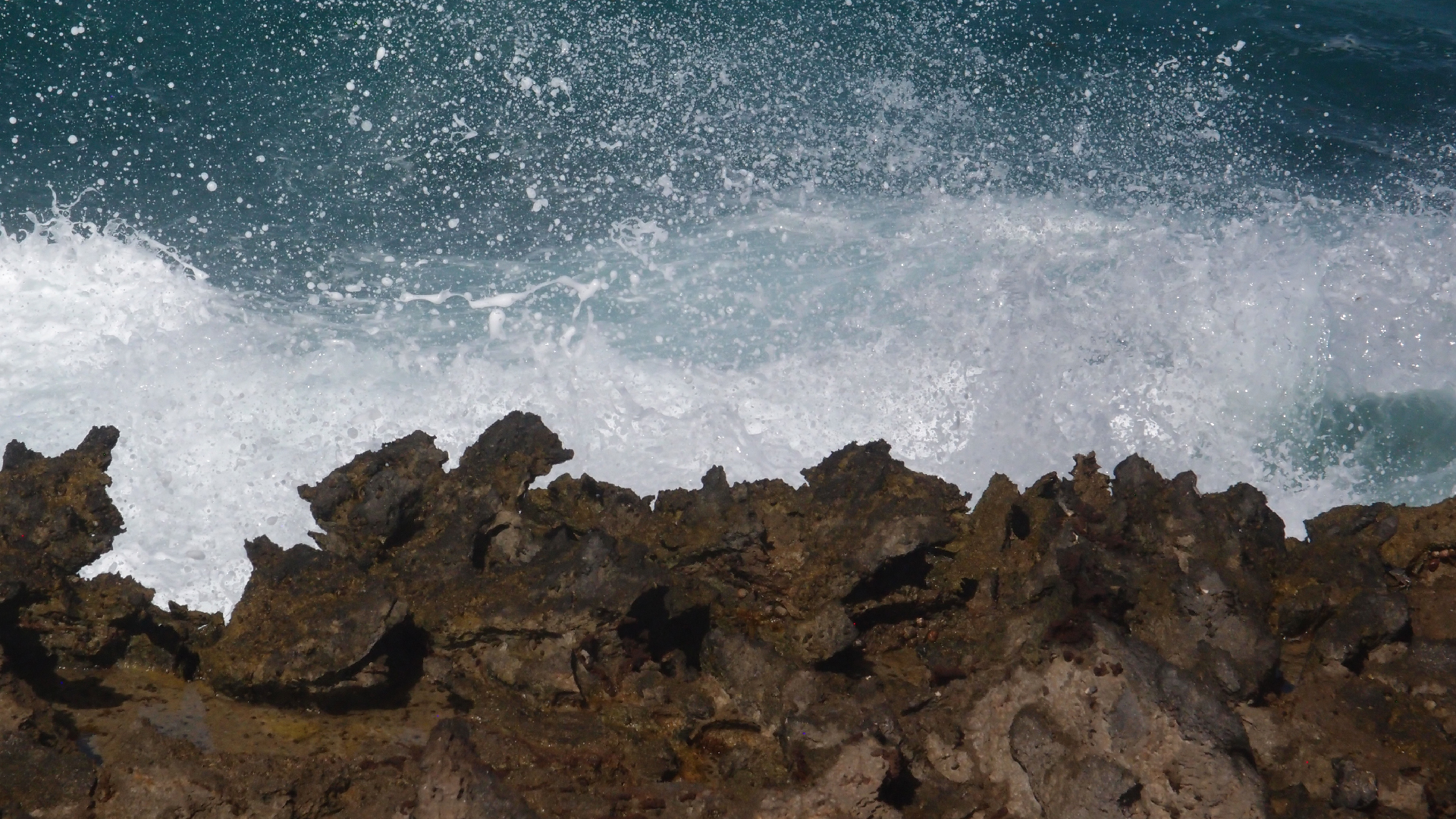 2022-04-14 Shete Boka Nationalpark (Foto)