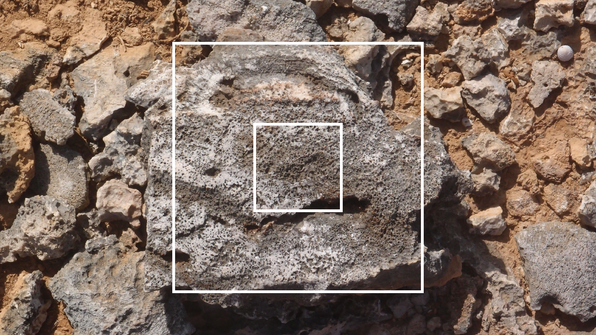 2022-04-14 Shete Boka Nationalpark (Foto)