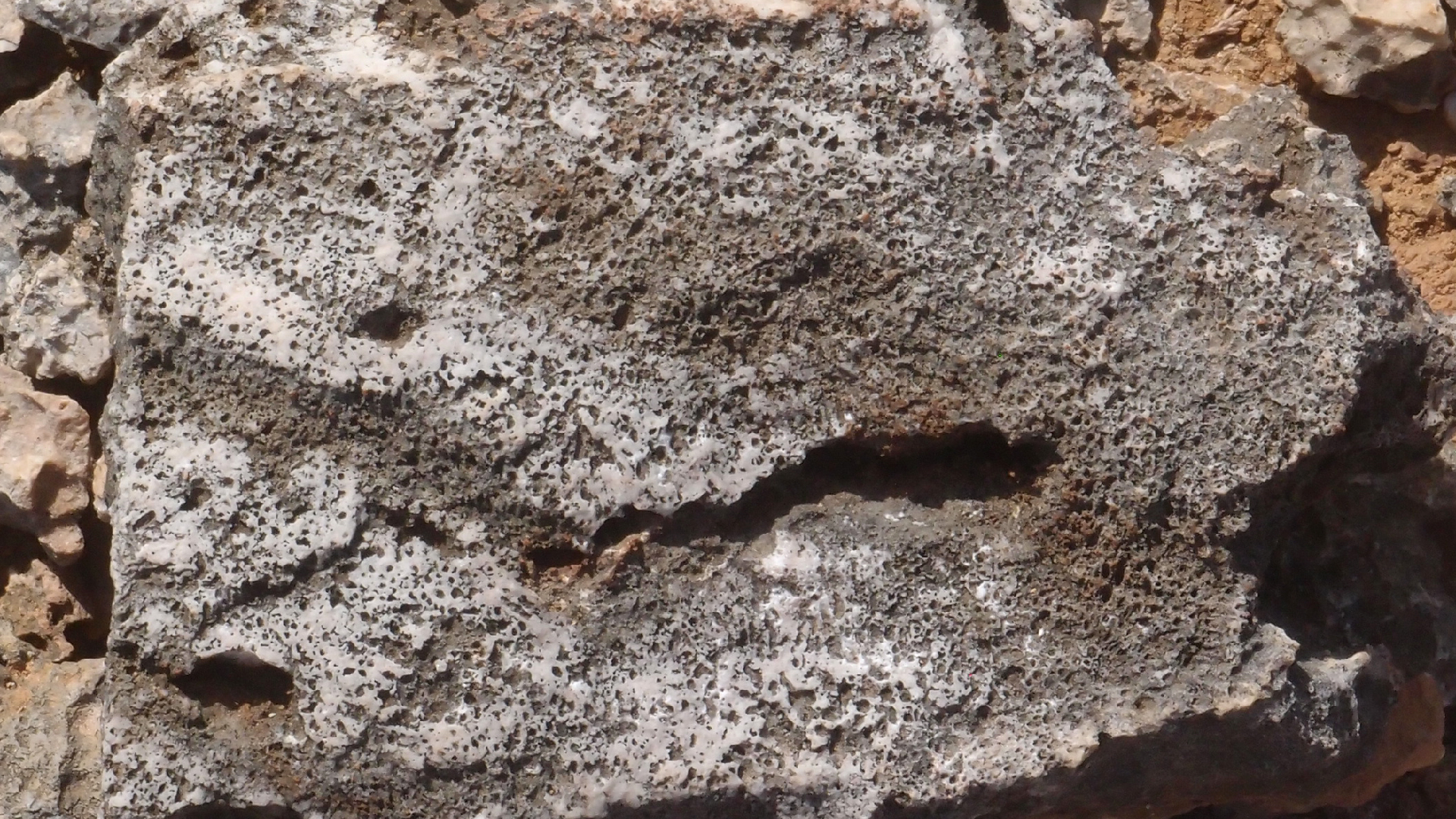 2022-04-14 Shete Boka Nationalpark (Foto)