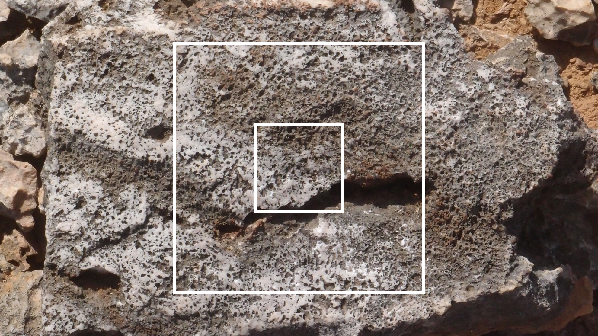 2022-04-14 Shete Boka Nationalpark (Foto)