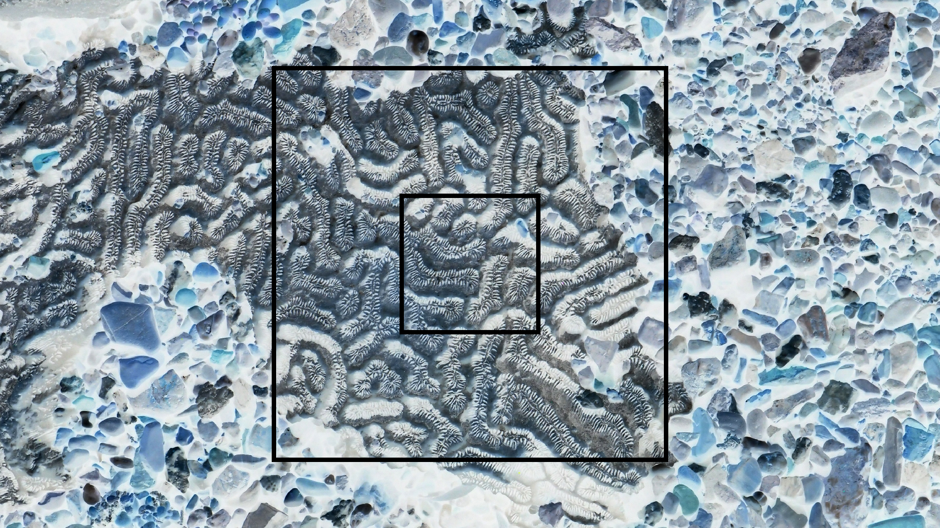 2022-04-14 Shete Boka Nationalpark (Foto)