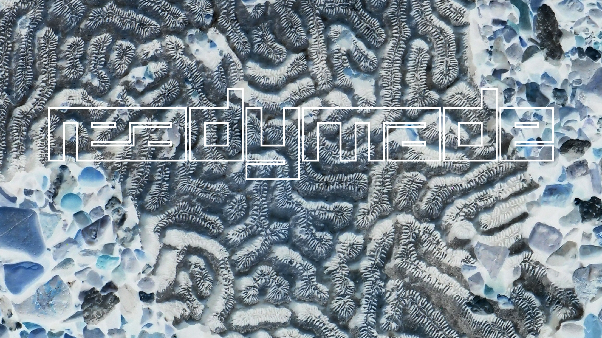 2022-04-14 Shete Boka Nationalpark (Foto)