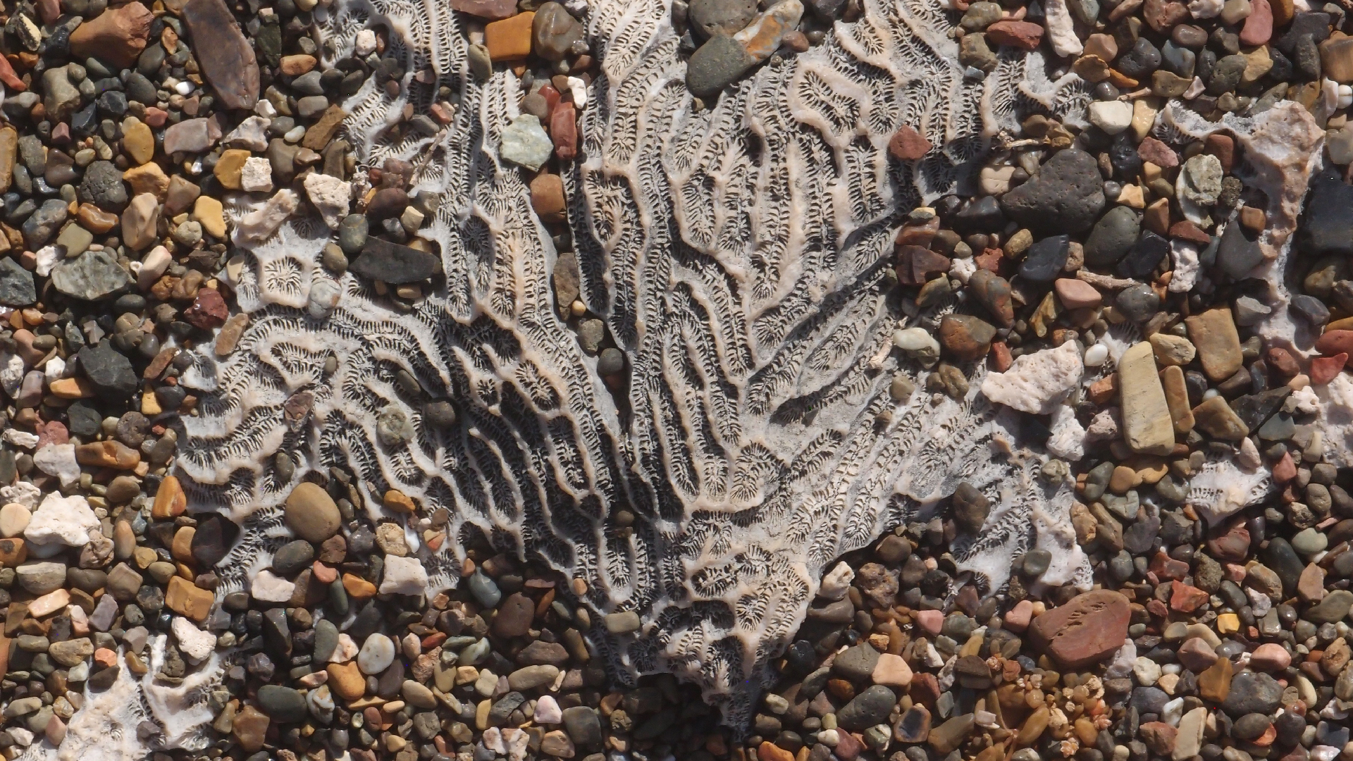 2022-04-14 Shete Boka Nationalpark (Foto)