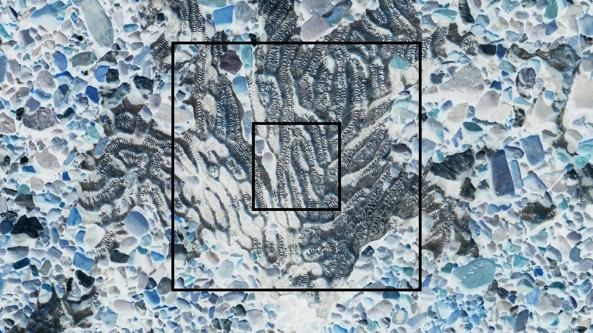 2022-04-14 Shete Boka Nationalpark (Foto)