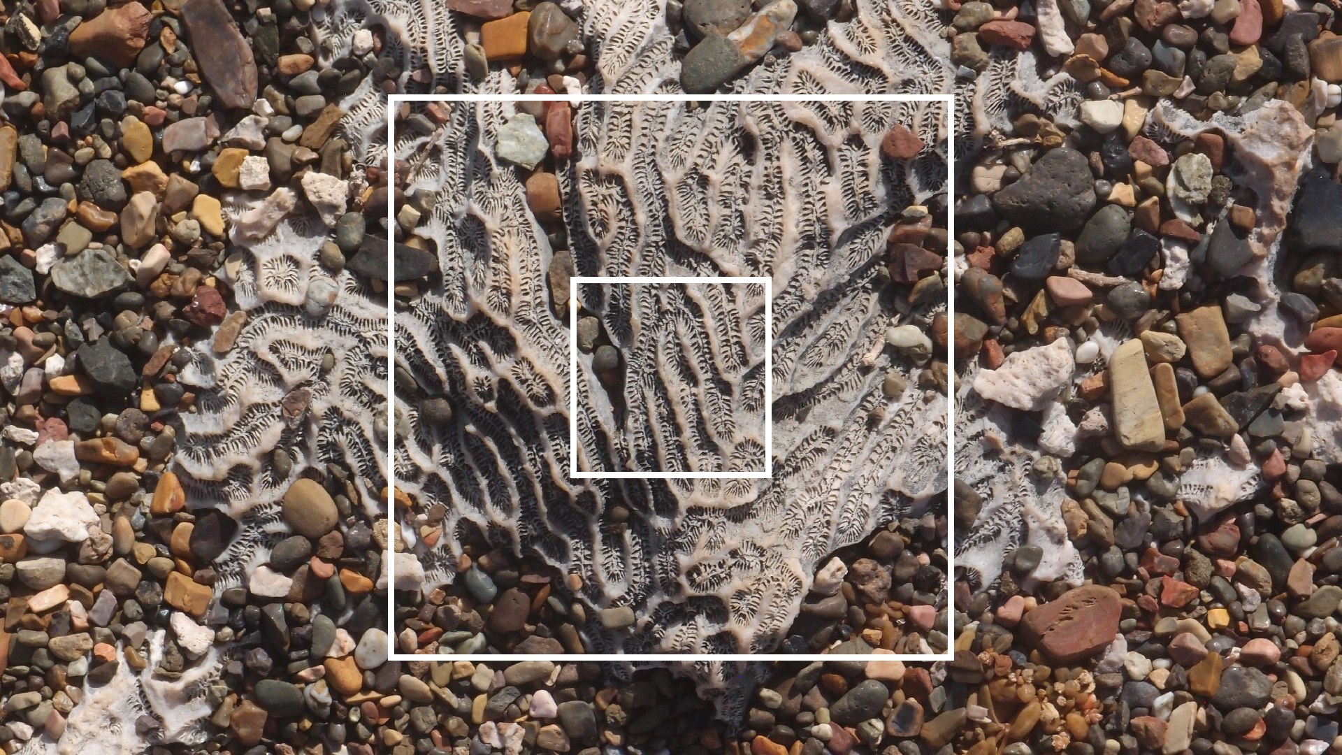 2022-04-14 Shete Boka Nationalpark (Foto)