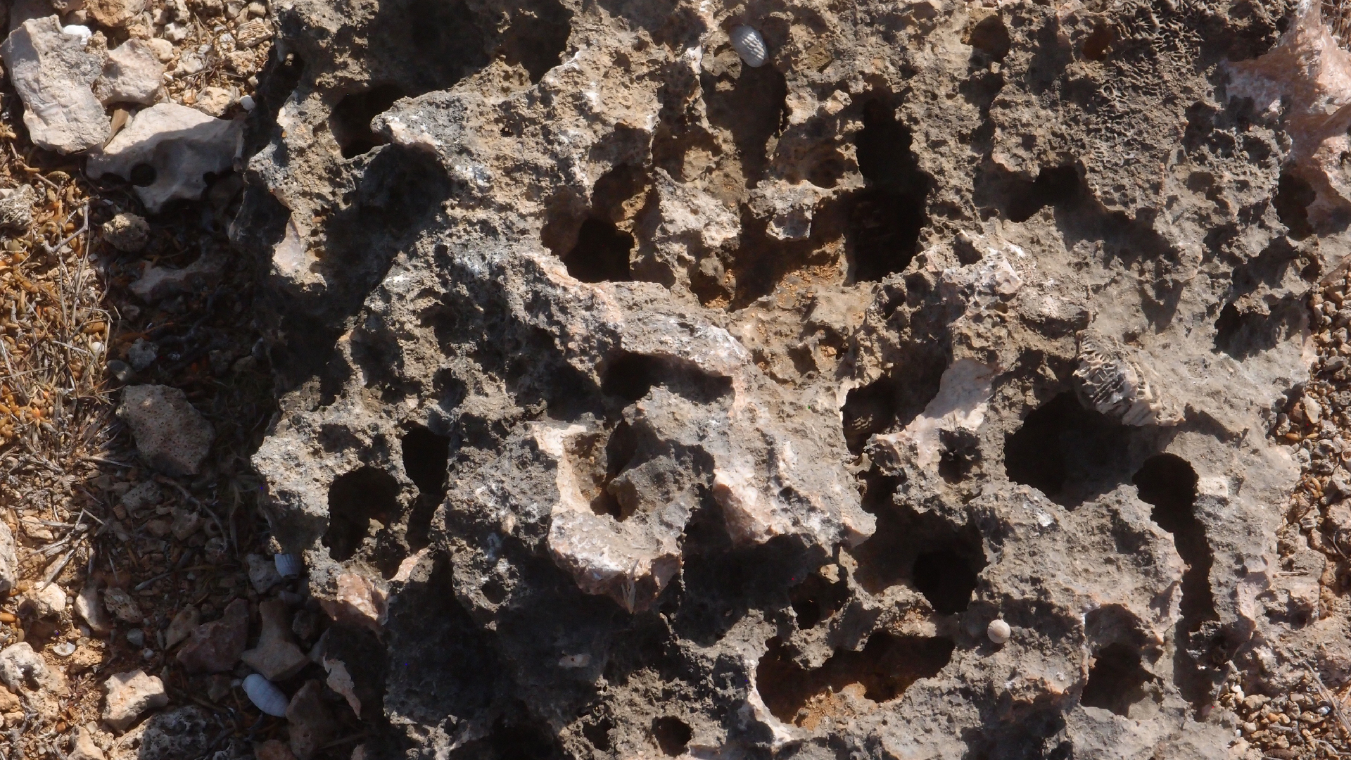 2022-04-14 Shete Boka Nationalpark (Foto)