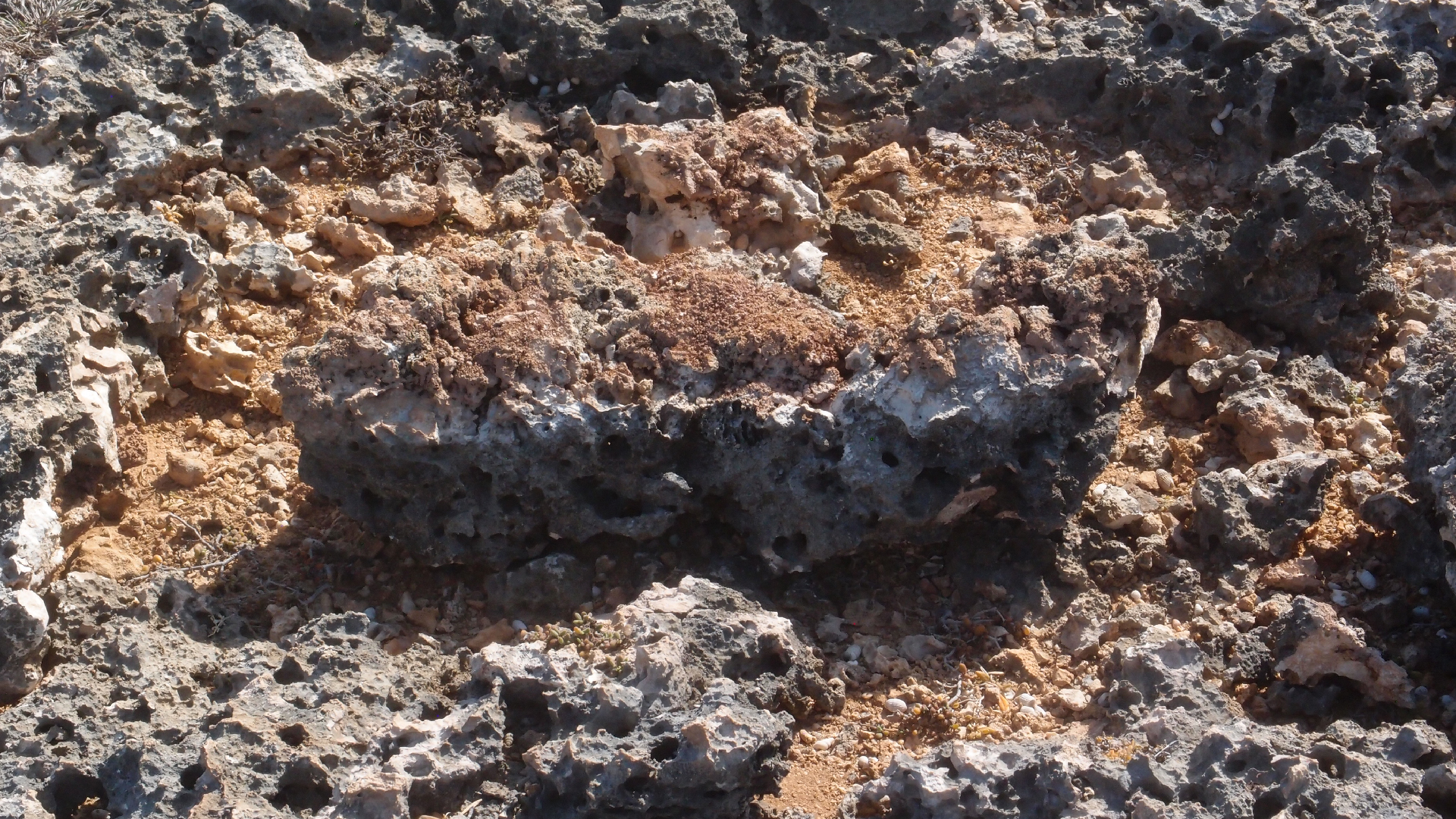 2022-04-14 Shete Boka Nationalpark (Foto)