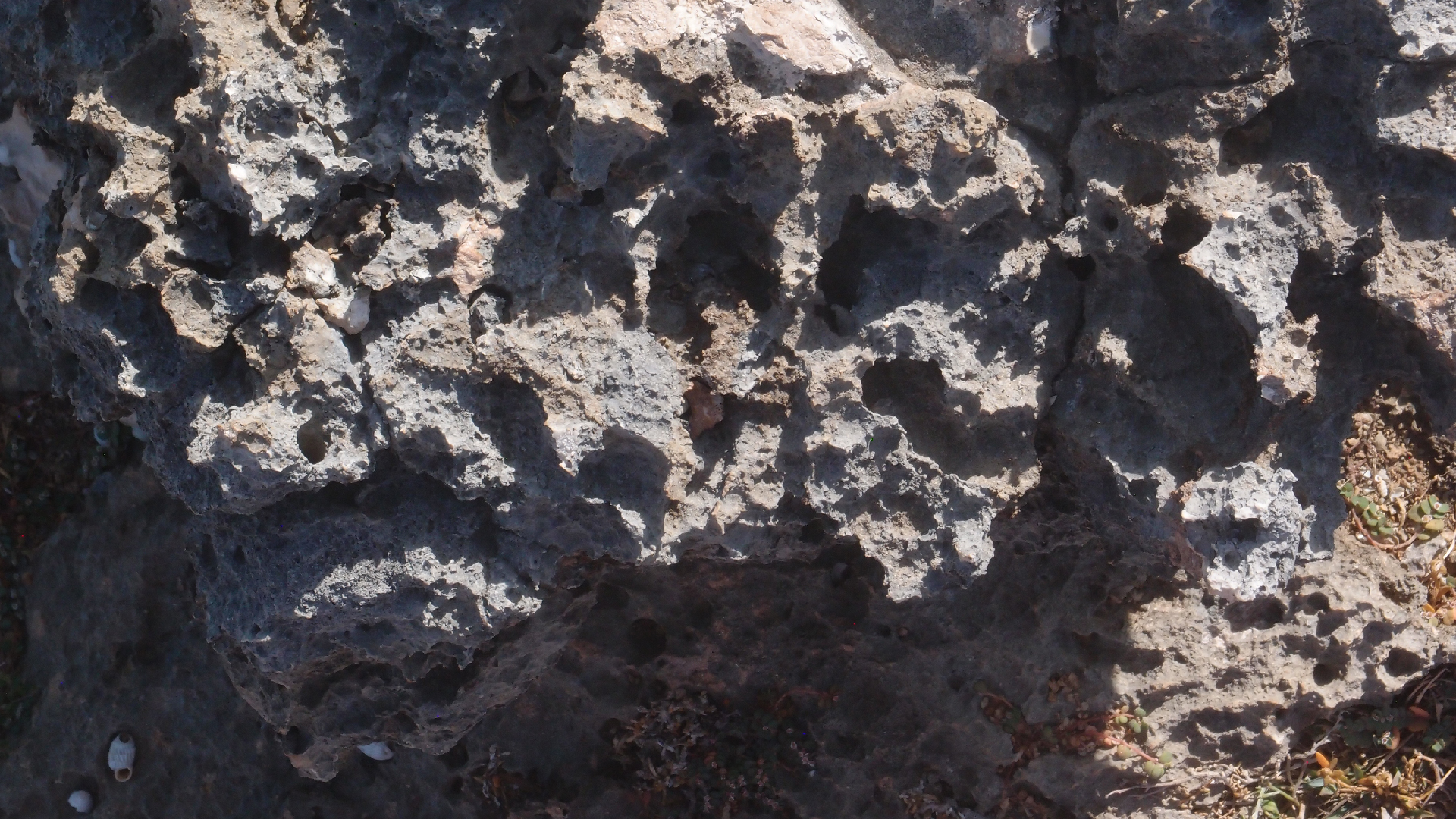 2022-04-14 Shete Boka Nationalpark (Foto)