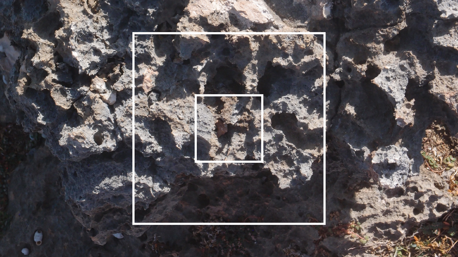 2022-04-14 Shete Boka Nationalpark (Foto)