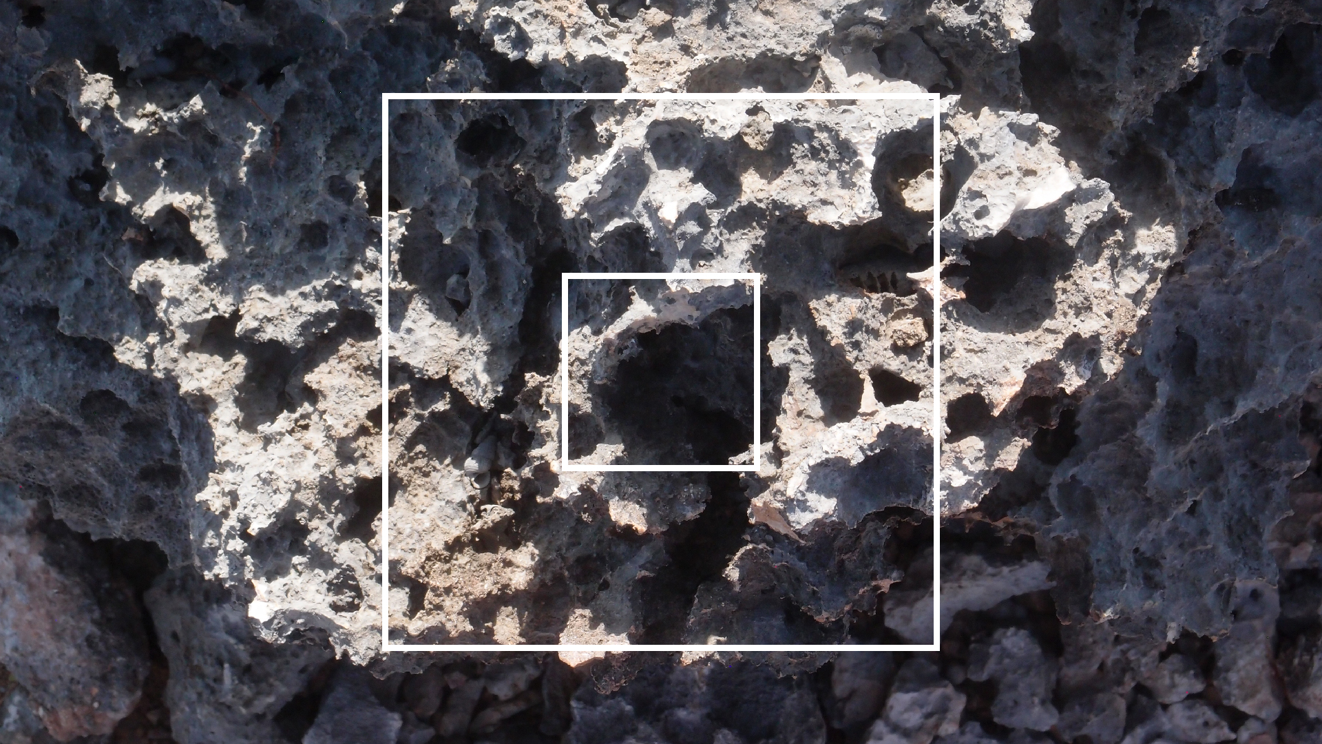 2022-04-14 Shete Boka Nationalpark (Foto)