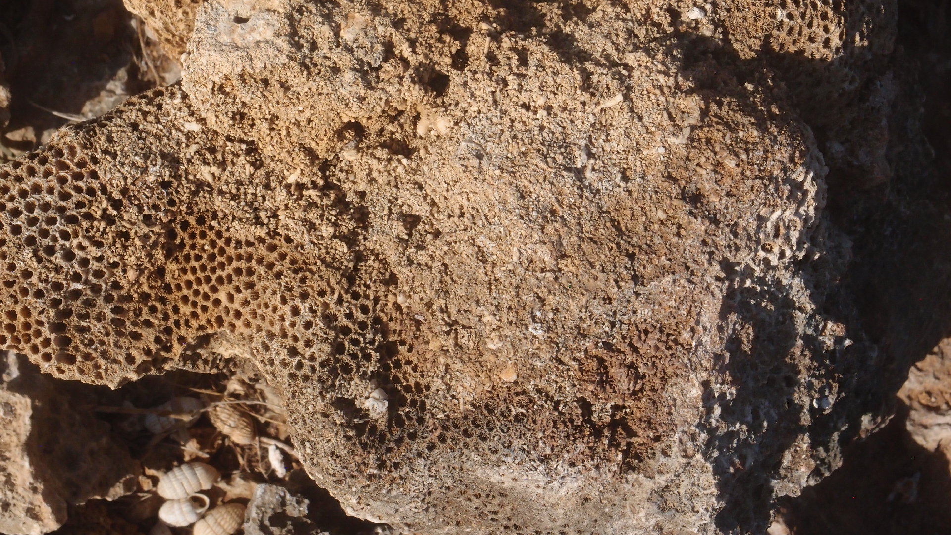 2022-04-14 Shete Boka Nationalpark (Foto)