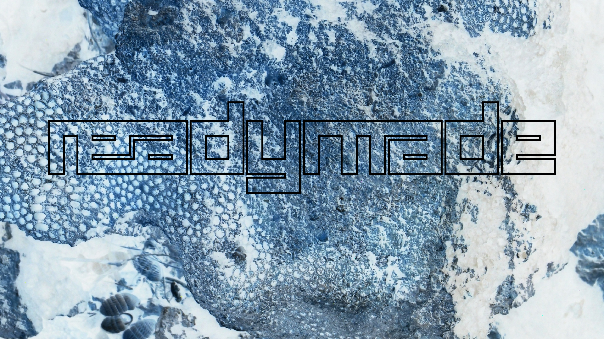 2022-04-14 Shete Boka Nationalpark (Foto)