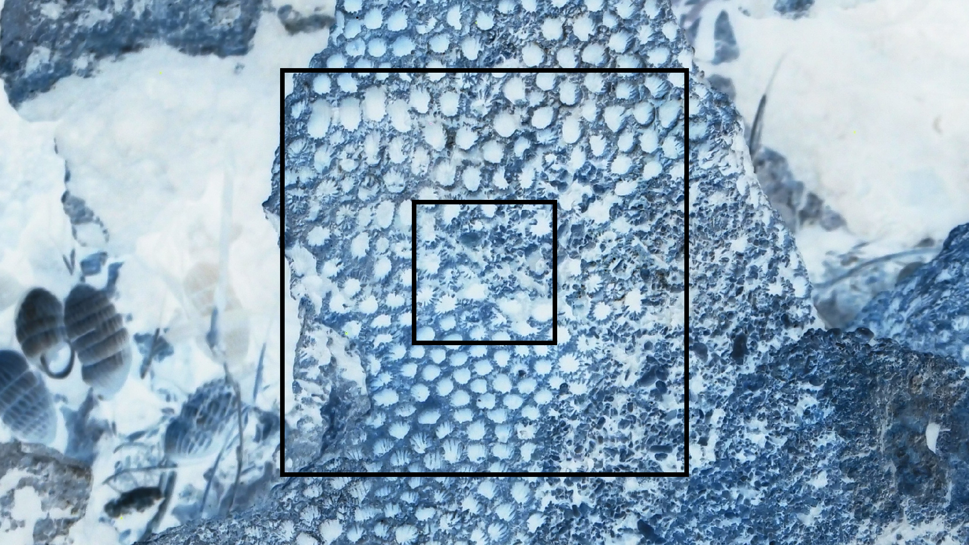 2022-04-14 Shete Boka Nationalpark (Foto)