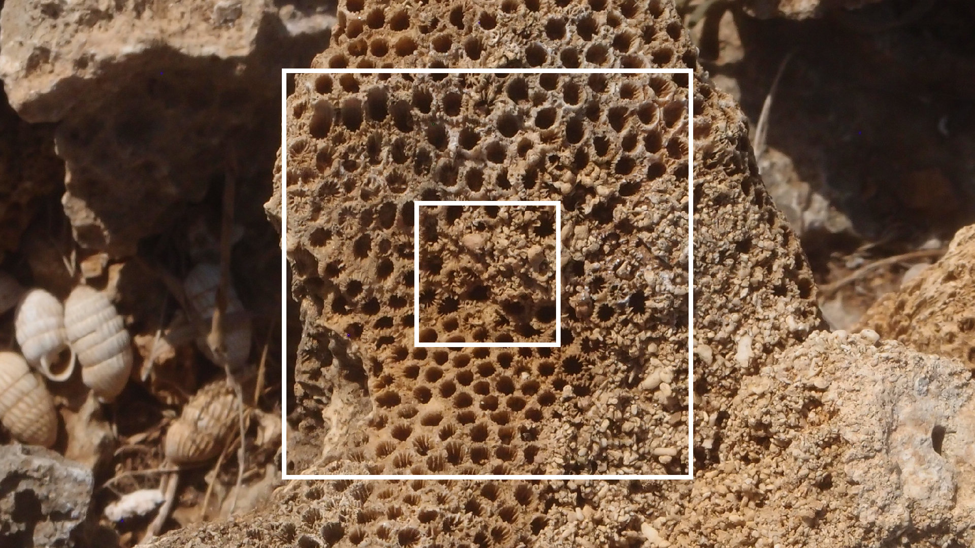 2022-04-14 Shete Boka Nationalpark (Foto)