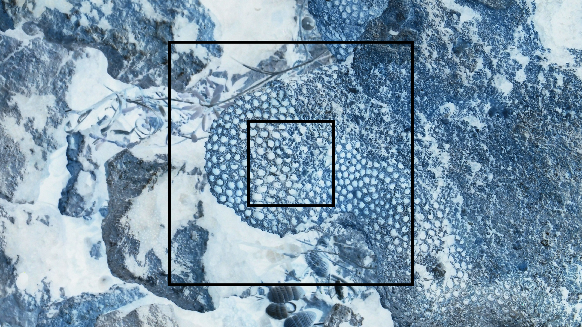 2022-04-14 Shete Boka Nationalpark (Foto)