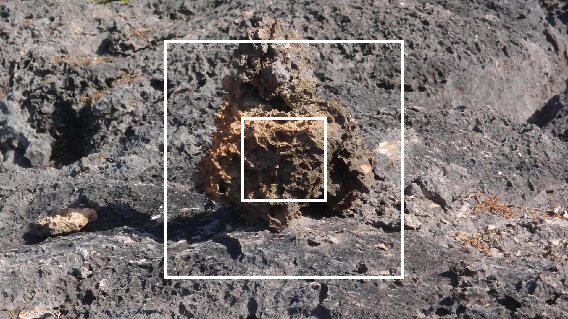 2022-04-14 Shete Boka Nationalpark (Foto)