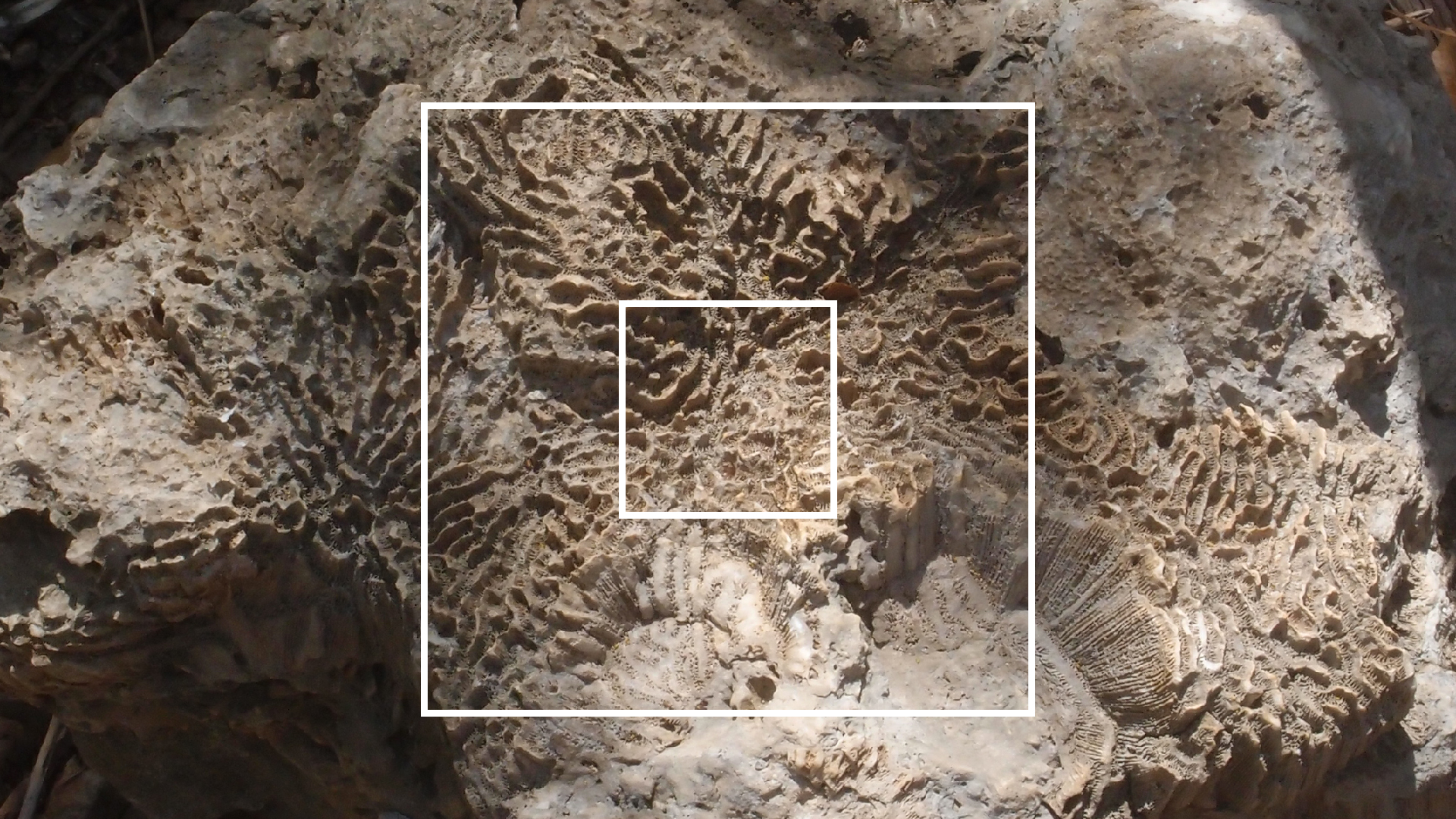 2022-04-14 Shete Boka Nationalpark (Foto)