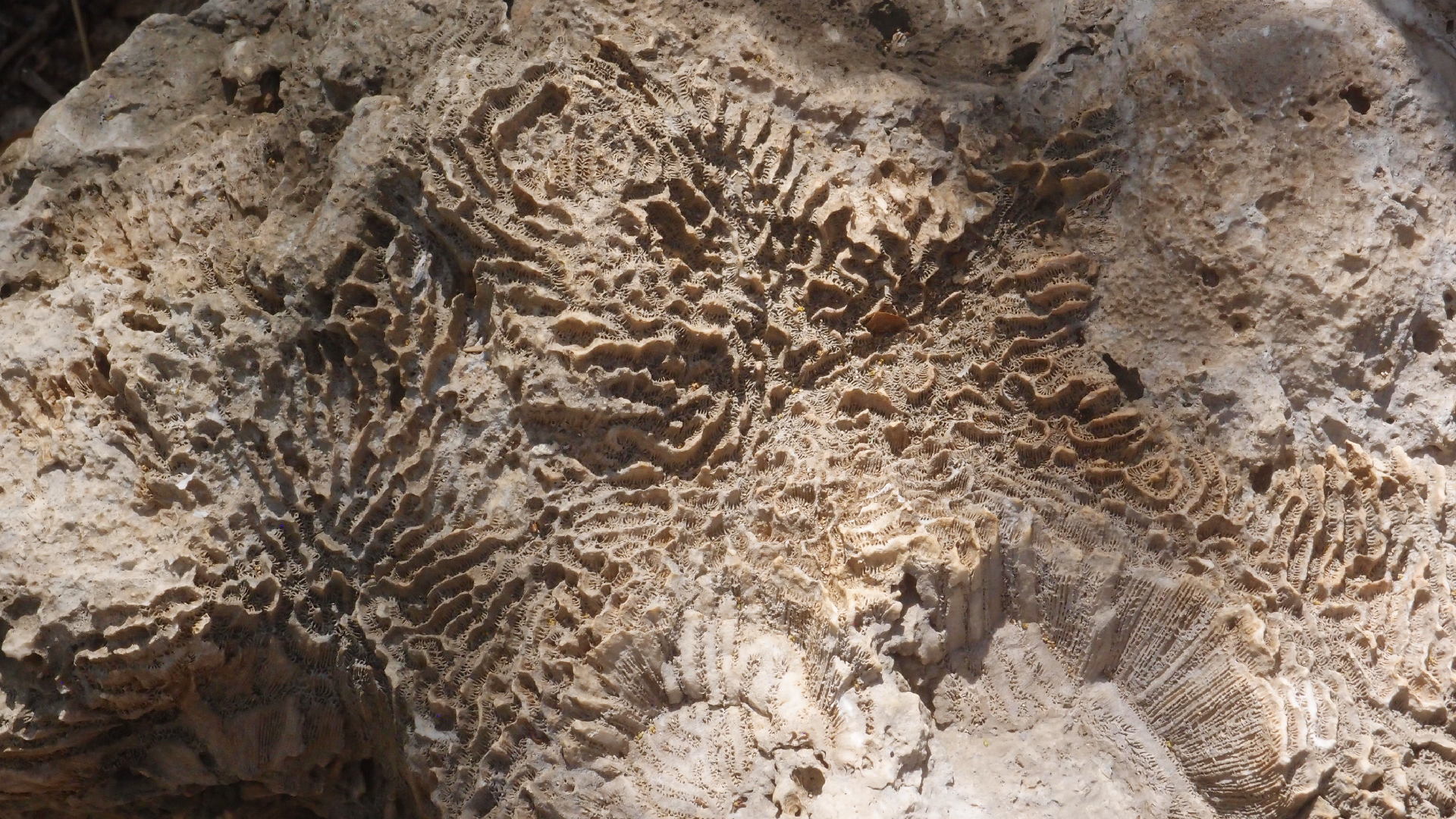 2022-04-14 Shete Boka Nationalpark (Foto)