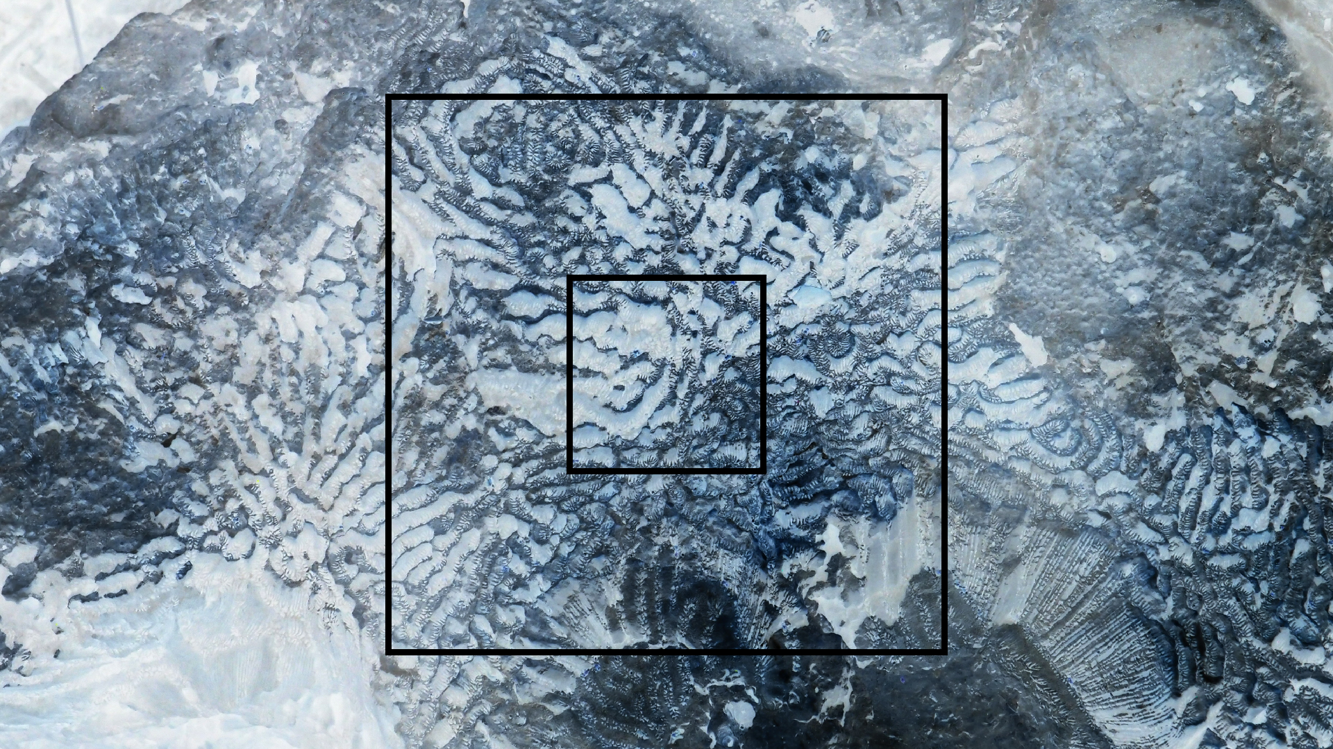 2022-04-14 Shete Boka Nationalpark (Foto)