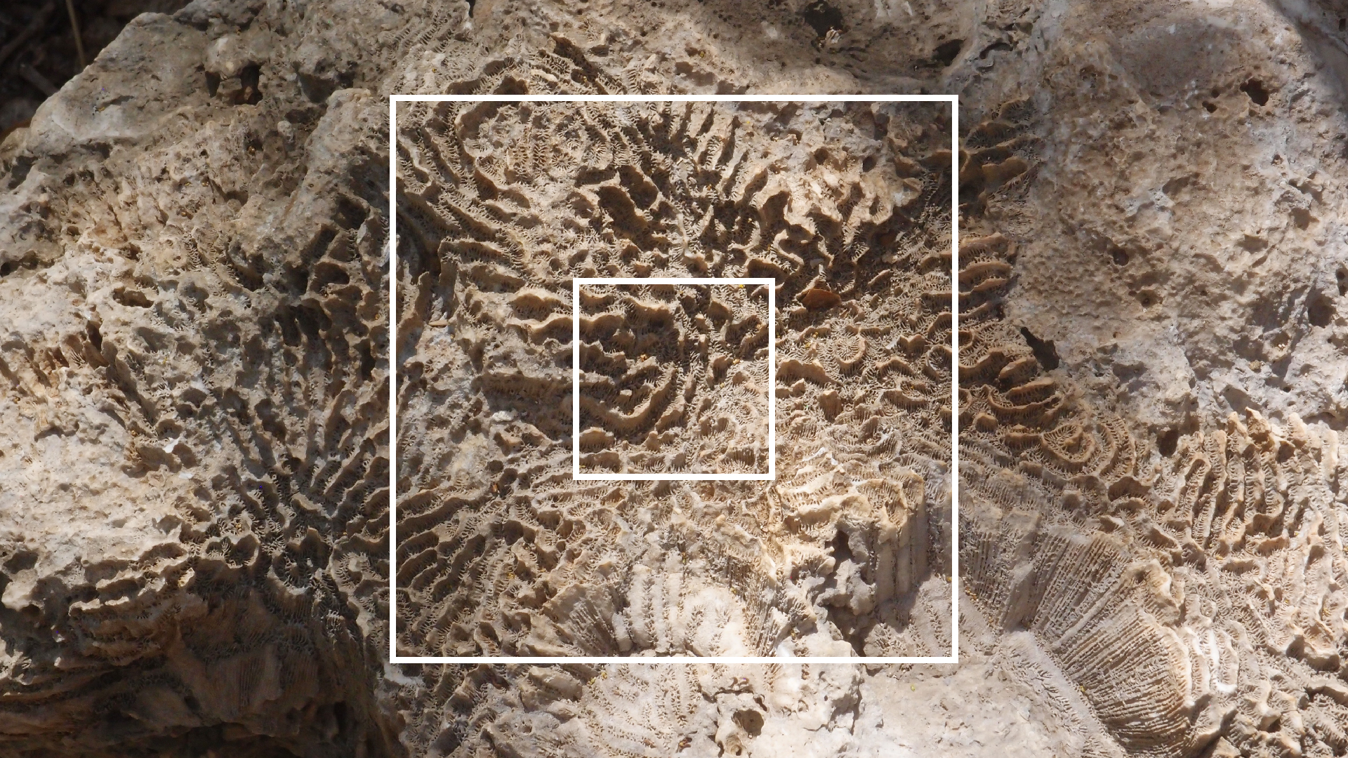 2022-04-14 Shete Boka Nationalpark (Foto)