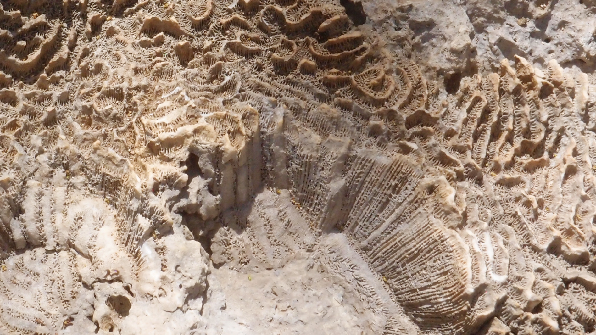 2022-04-14 Shete Boka Nationalpark (Foto)