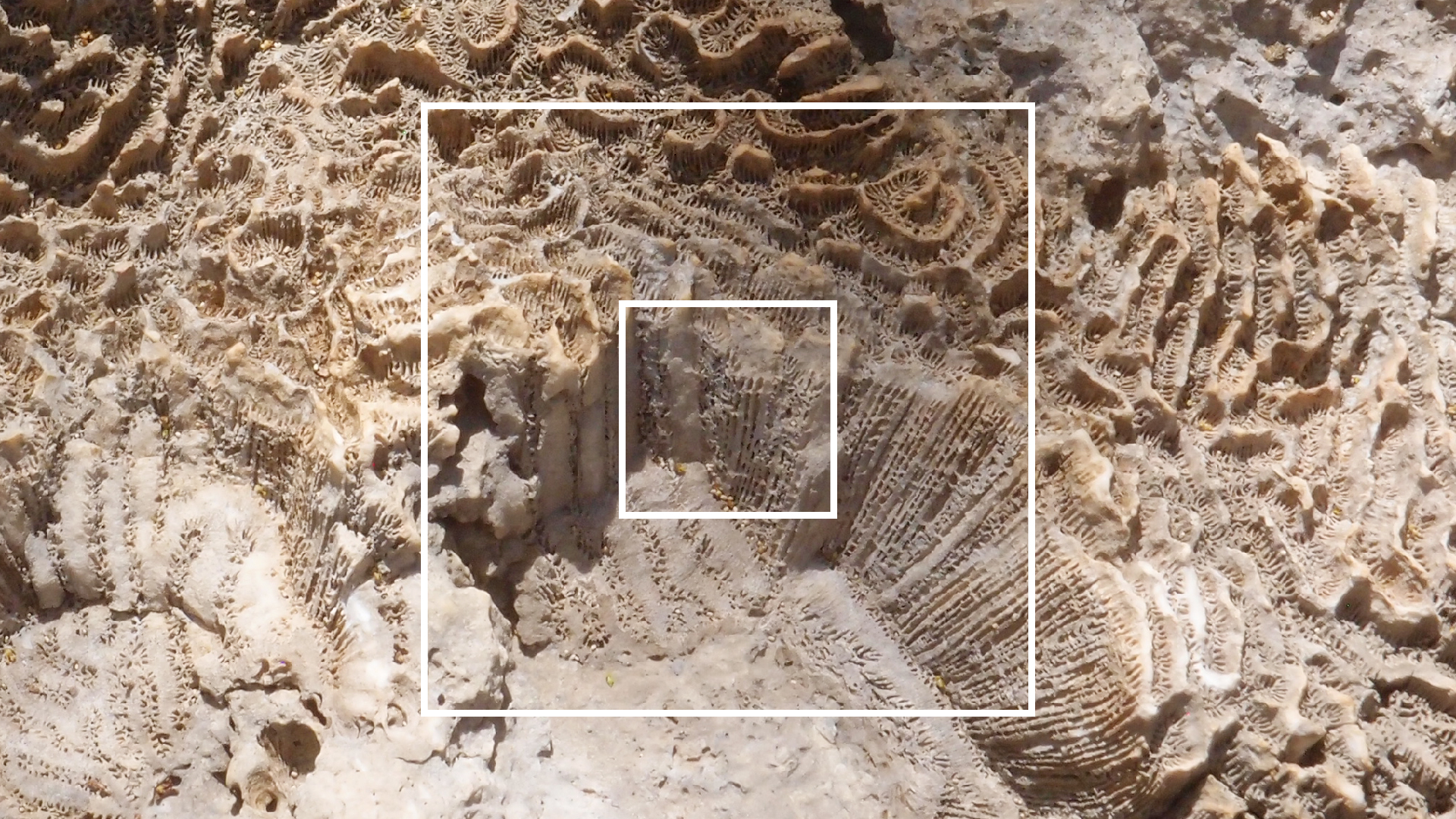 2022-04-14 Shete Boka Nationalpark (Foto)