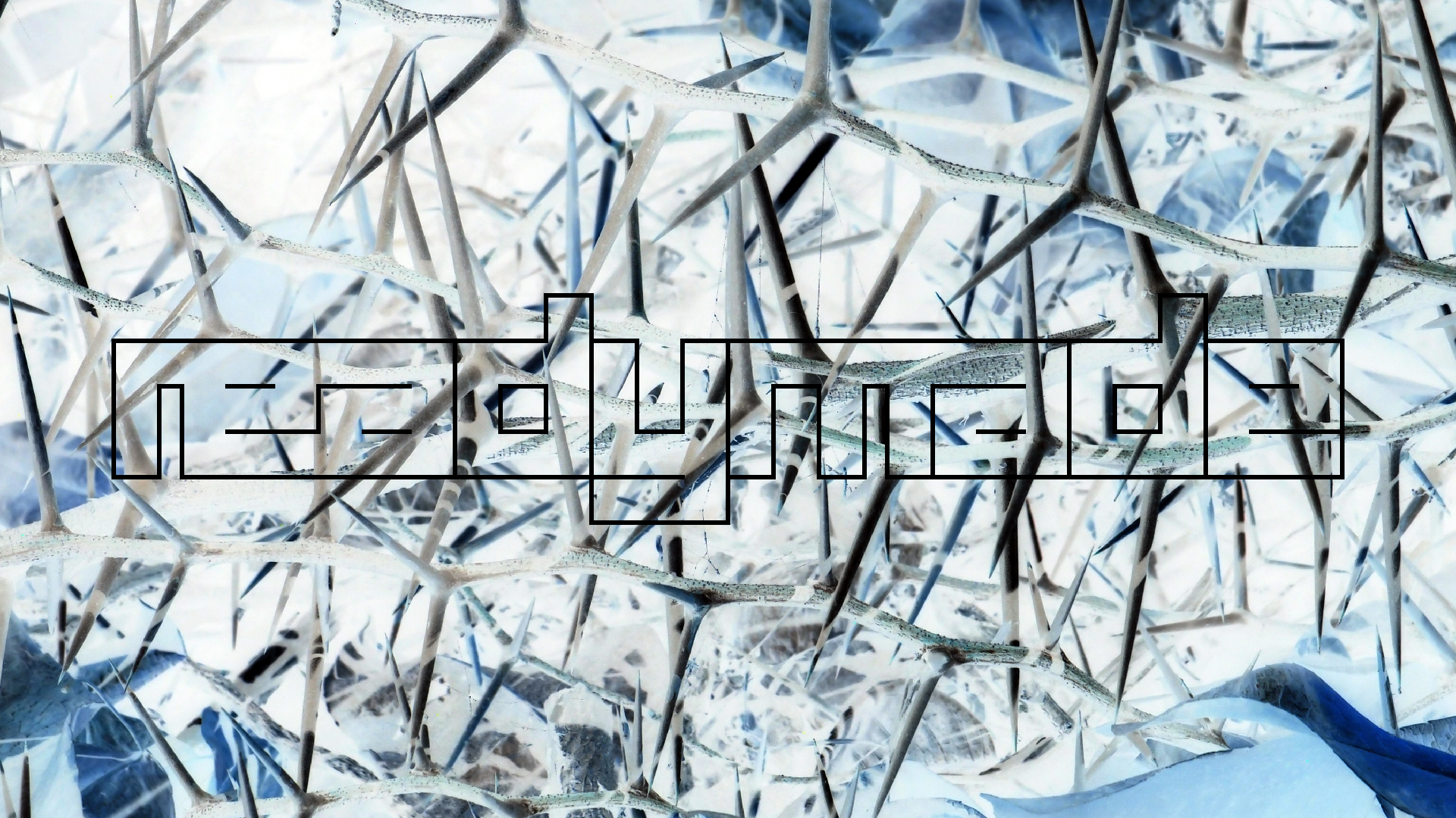 2022-04-14 Shete Boka Nationalpark (Foto)