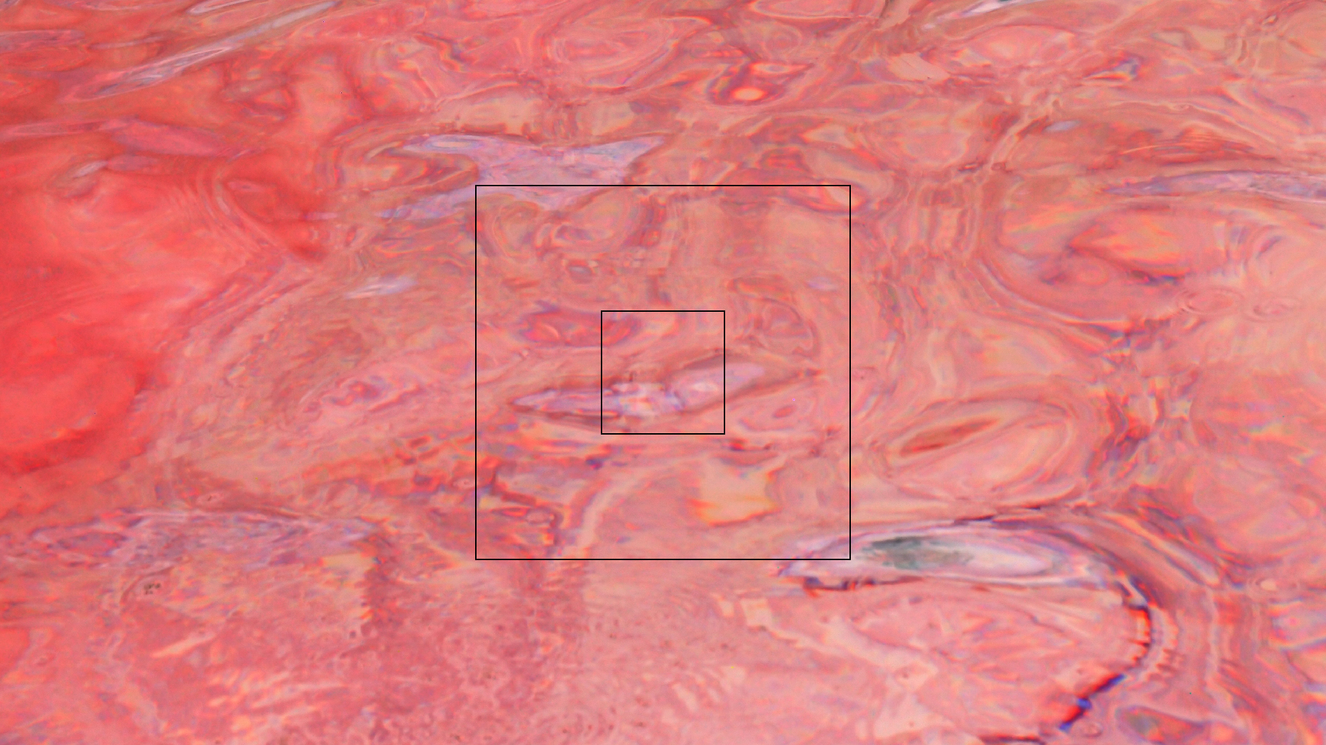 2022-04-15 Playa Kalki (am Strand und im Wasser) (Foto, Video)