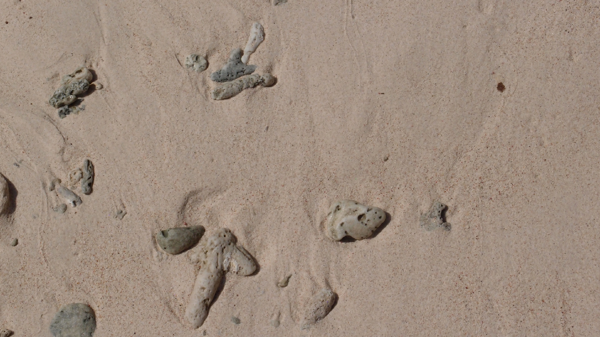 2022-04-15 Playa Kalki (am Strand und im Wasser) (Foto, Video)