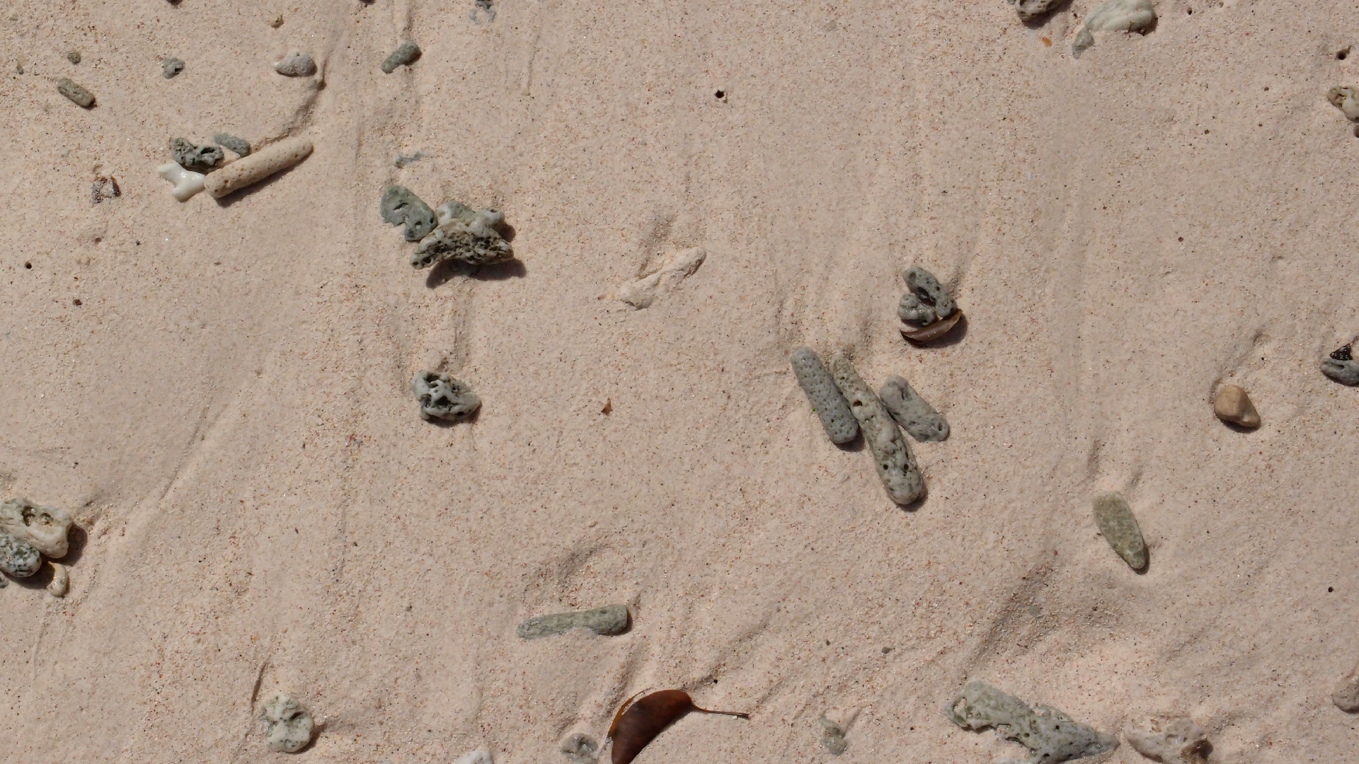 2022-04-15 Playa Kalki (am Strand und im Wasser) (Foto, Video)