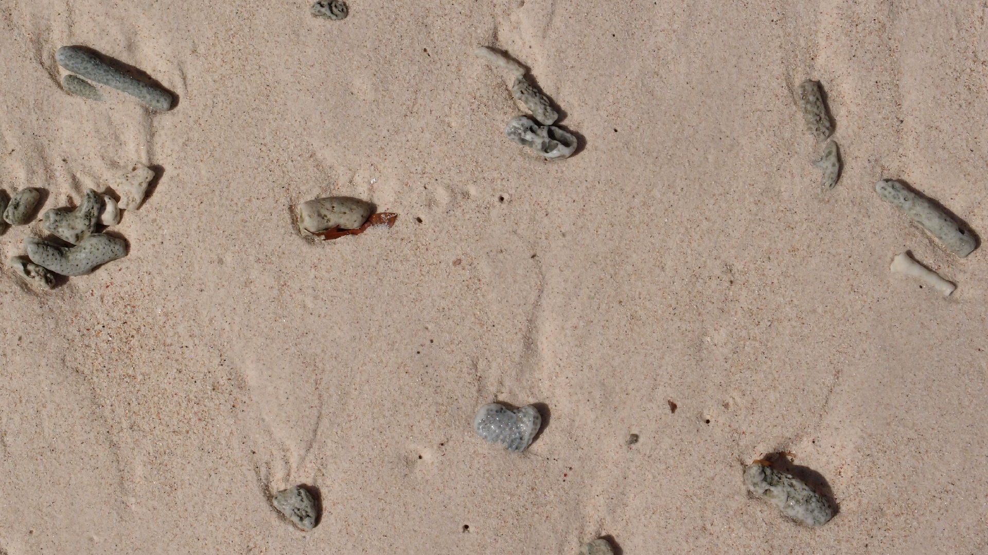 2022-04-15 Playa Kalki (am Strand und im Wasser) (Foto, Video)