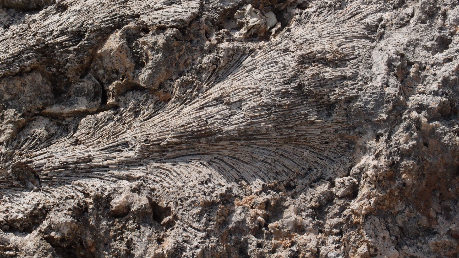 2022-04-15 Playa Kalki (am Strand und im Wasser) (Foto, Video)