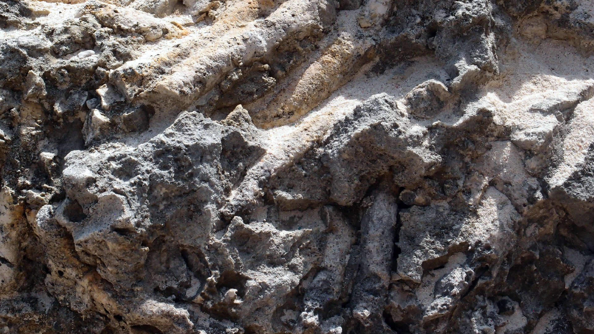 2022-04-15 Playa Kalki (am Strand und im Wasser) (Foto, Video)