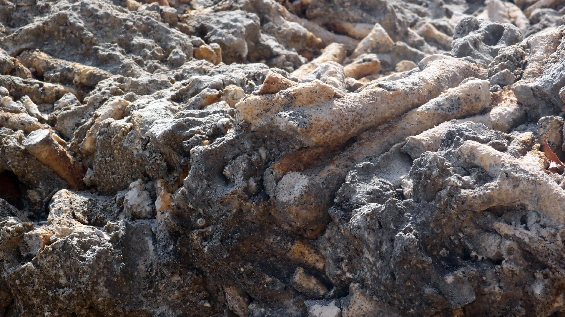 2022-04-15 Playa Kalki (am Strand und im Wasser) (Foto, Video)