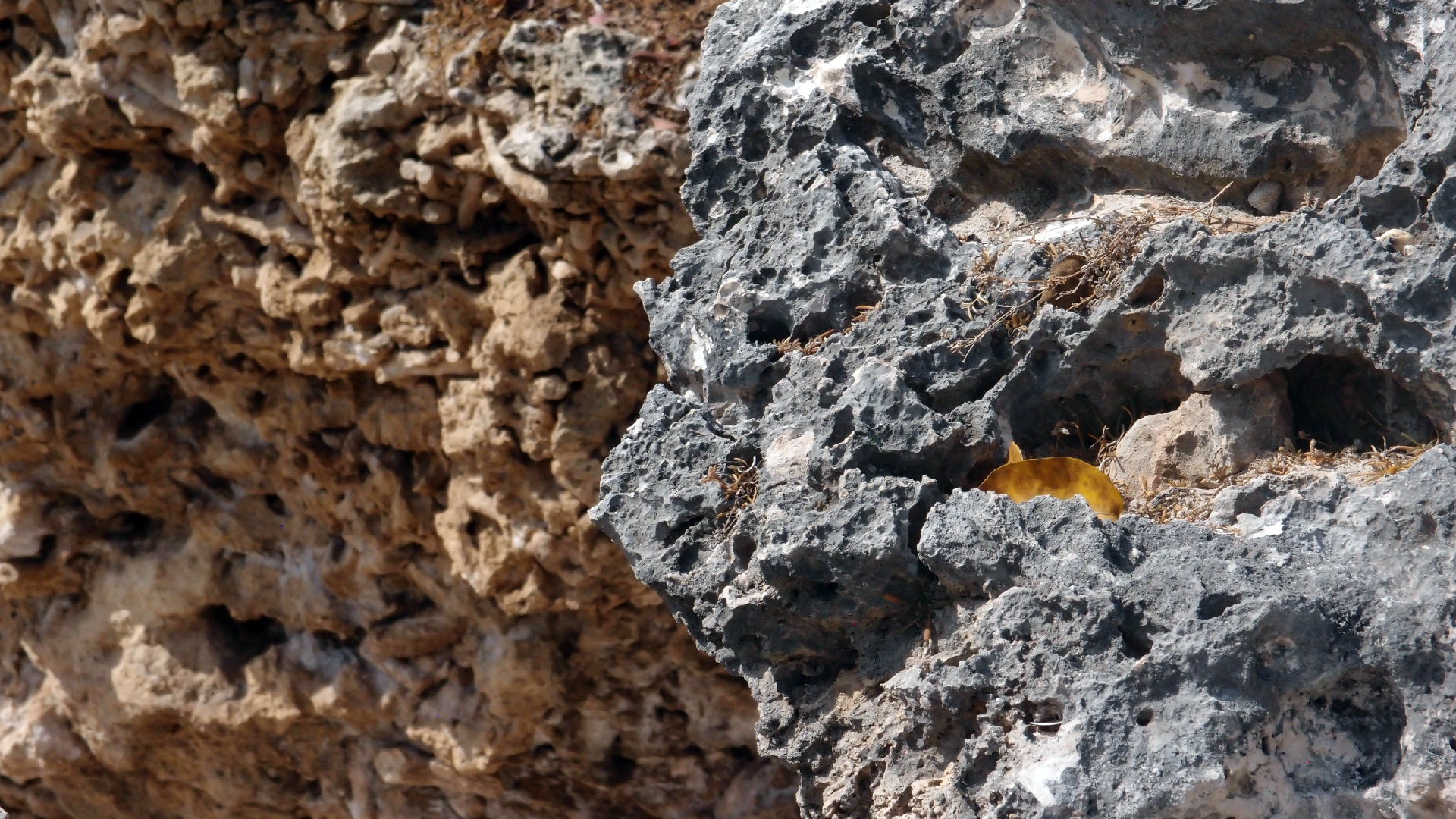 2022-04-15 Playa Kalki (am Strand und im Wasser) (Foto, Video)