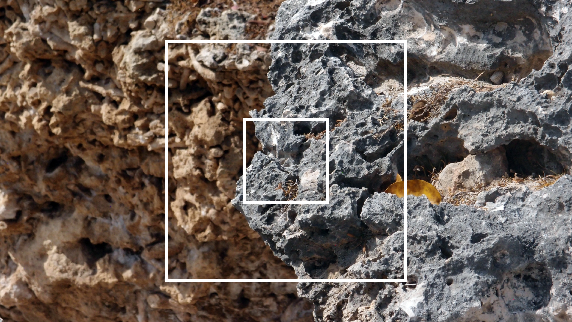 2022-04-15 Playa Kalki (am Strand und im Wasser) (Foto, Video)